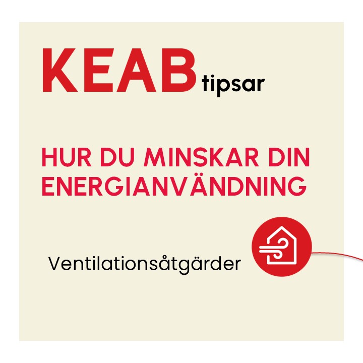 bild1