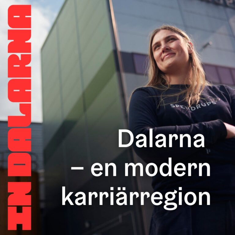 inlägg 2